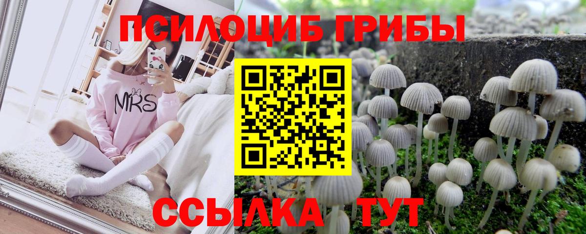 Псилоцибиновые грибы Psilocybine cubensis  Вход с VPN  Трёхгорный 