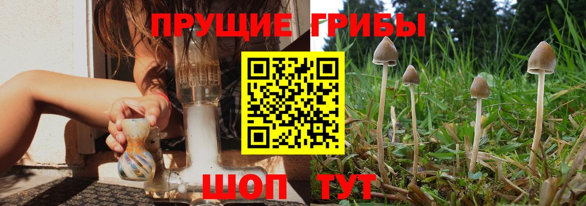 Галлюциногенные грибы Magic Shrooms Трёхгорный